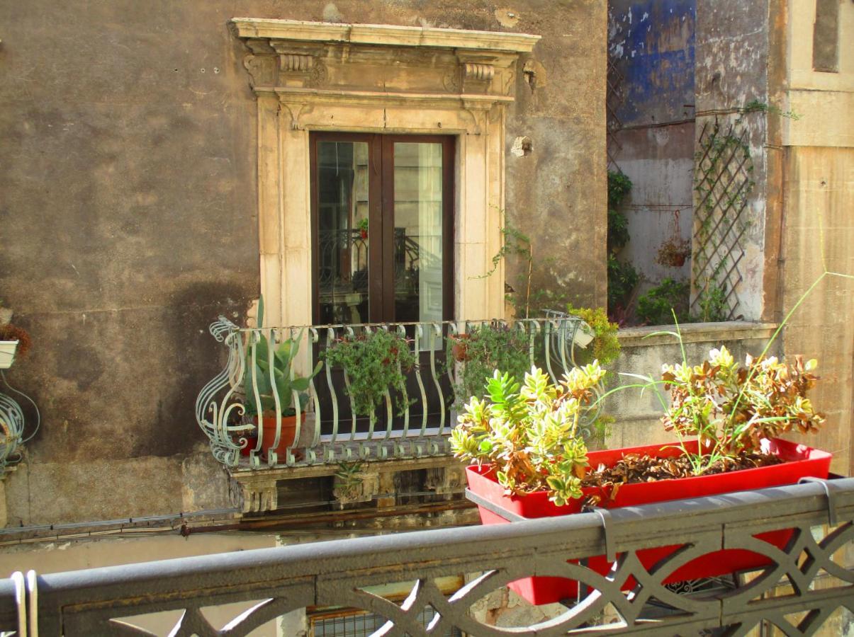 Diletta Oasi Bed & Breakfast Katanya Dış mekan fotoğraf